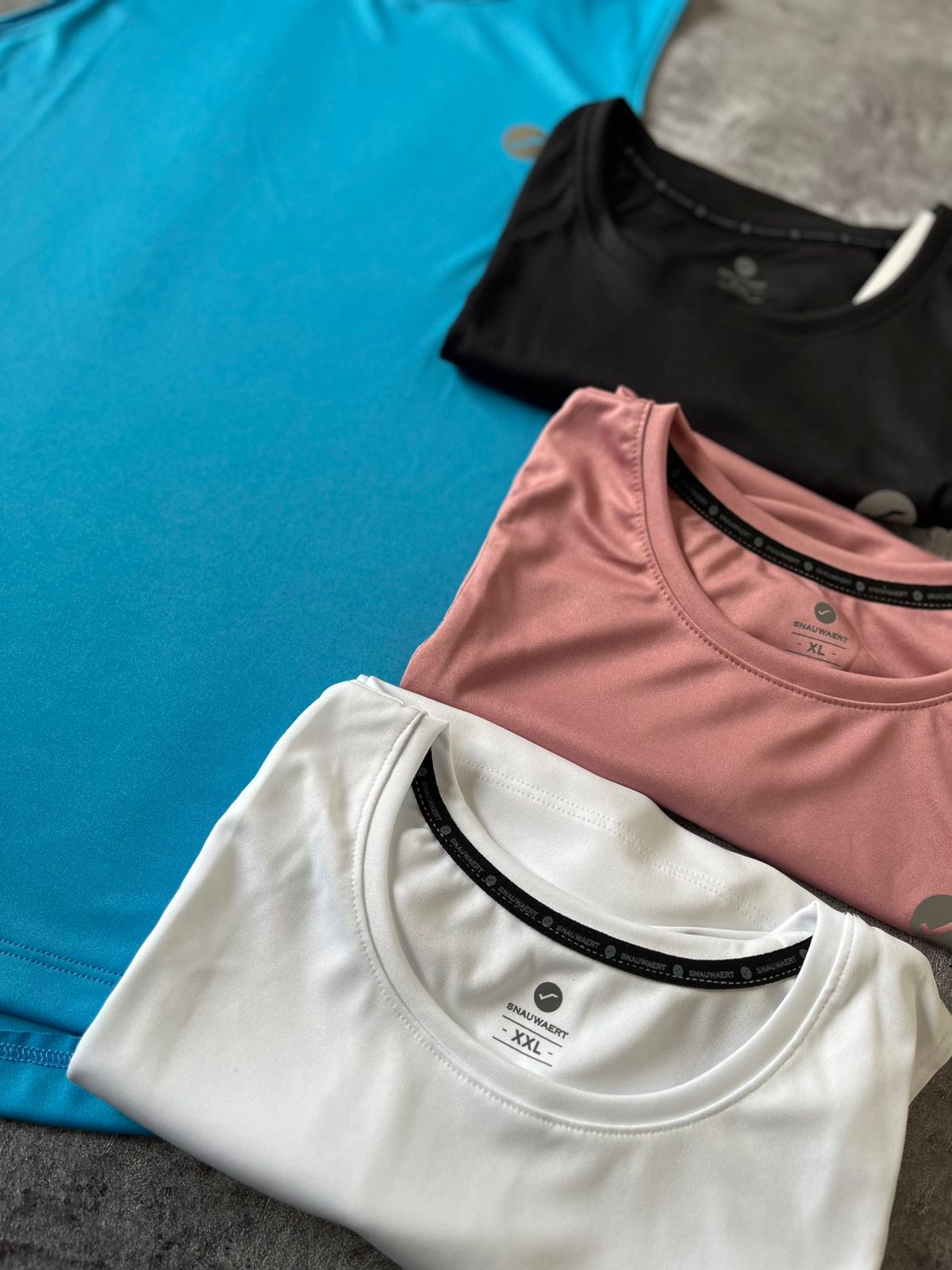 Musculosa Egel